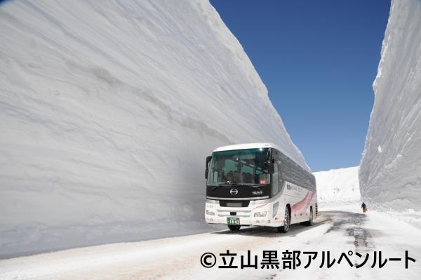 Tateyama Kurobe Snow Valley Walk Day Trip [Departing/Returning from Nagoya/Kyoto]