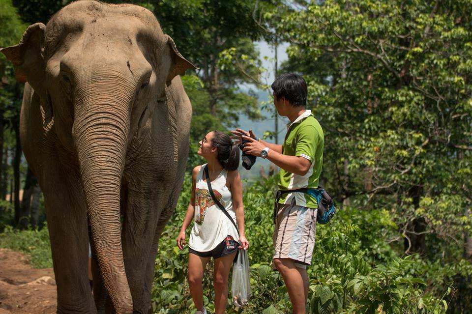  【走進大象友善園區】清邁大象自然公園一日體驗 