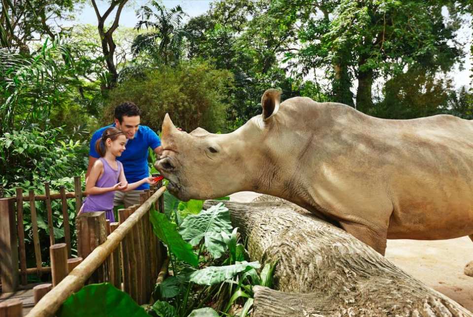  シンガポール動物園（Singapore Zoo）入場チケット：オフィシャル公認販売 