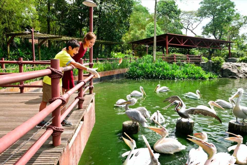  【超值優惠】新加坡裕廊飛禽公園門票 Jurong Bird Park 