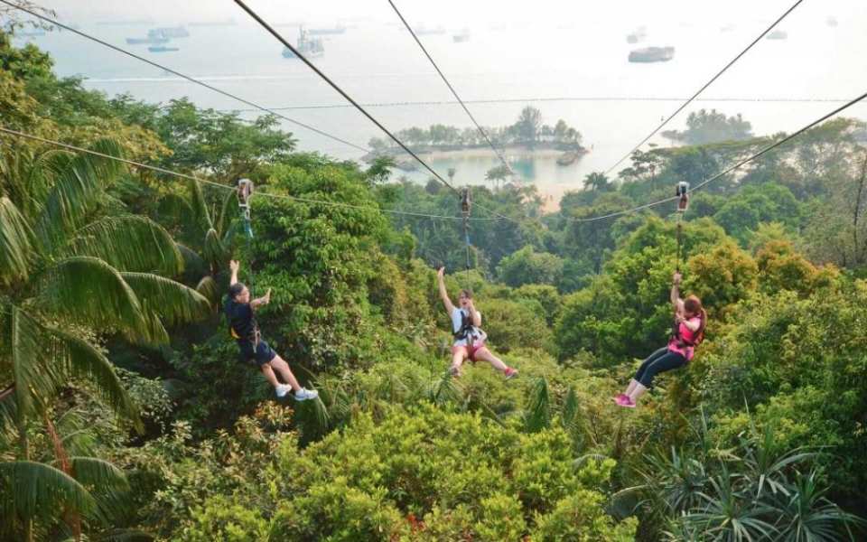  【挑戰新加坡極限飛索】聖淘沙 MegaZip 叢林滑索門票 