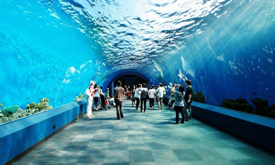  【タイ最大の水族館】シー・ライフ・バンコク・オーシャン・ワールド入場チケット 