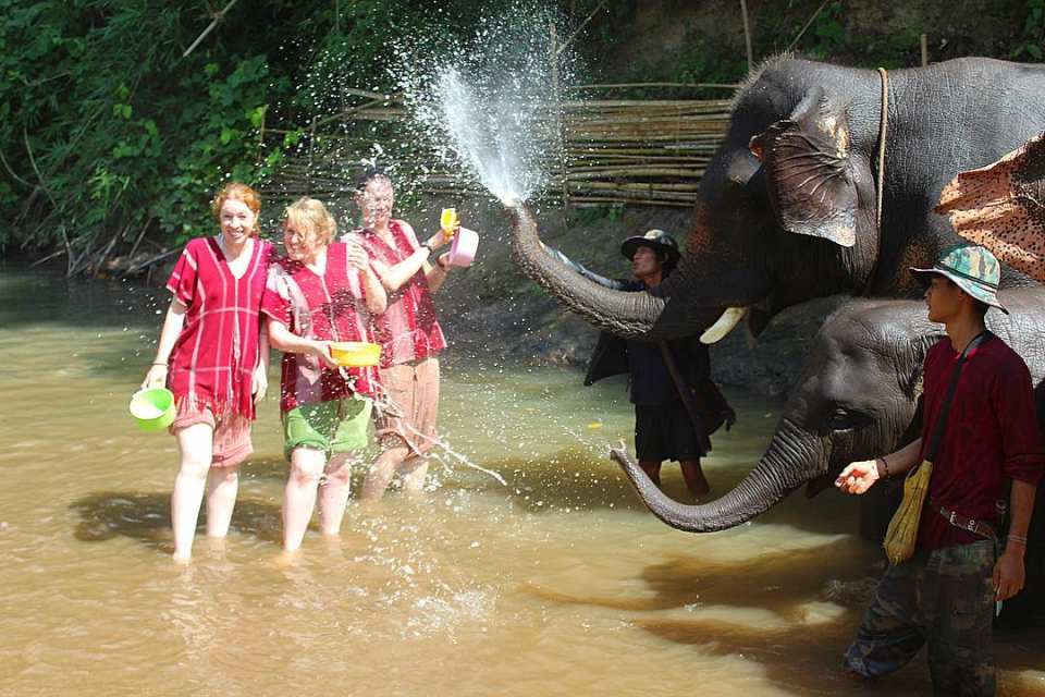  【清邁大象保育體驗】Kerchor 大象生態公園半日遊 