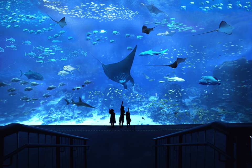  【超值親子套票：自然生態】新加坡河川生態園、動物園、S.E.A. 海洋館門票 