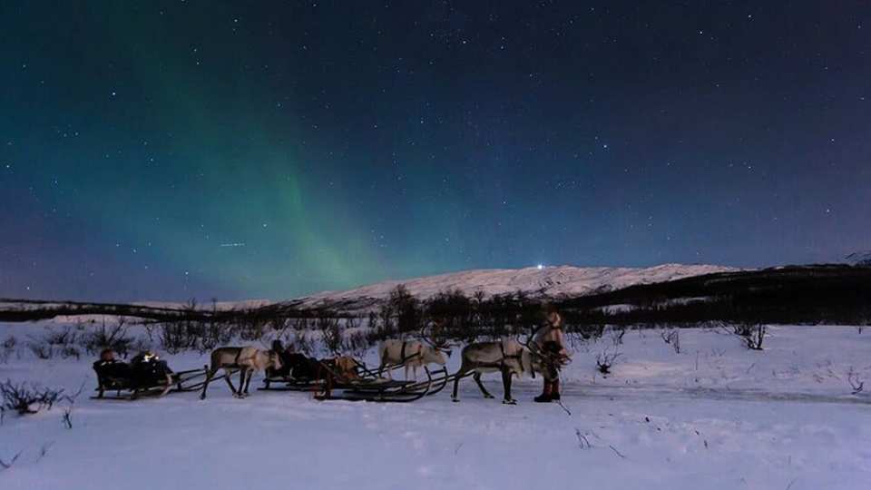 【芬蘭搭乘馴鹿雪橇賞極光】北極拉普蘭馴鹿雪橇體驗＋拜訪馴鹿牧場＋薩米小吃半日遊 