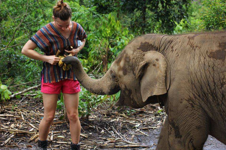  【Elephant Jungle Sanctuary】清邁大象友善一日體驗營 