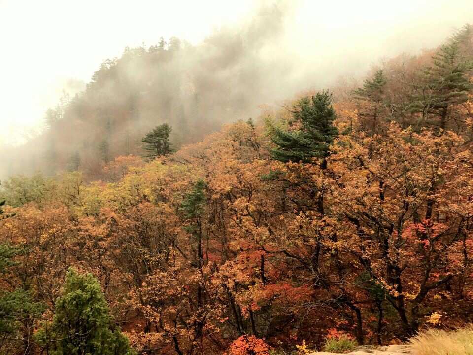  【期間限定・秋の韓国】 雪岳山国立公園で紅葉狩り＋ロープウェー1日ツアー：ソウル出発 