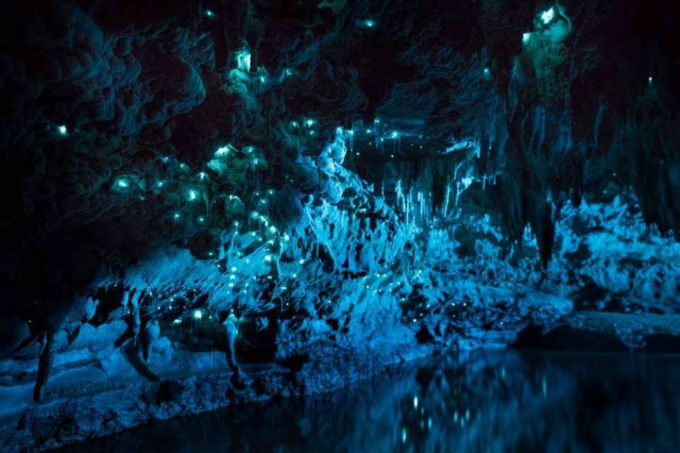  【紐西蘭北島必去景點】懷托摩藍光螢火蟲洞遊船體驗（奧克蘭 / 羅托魯阿出發） 