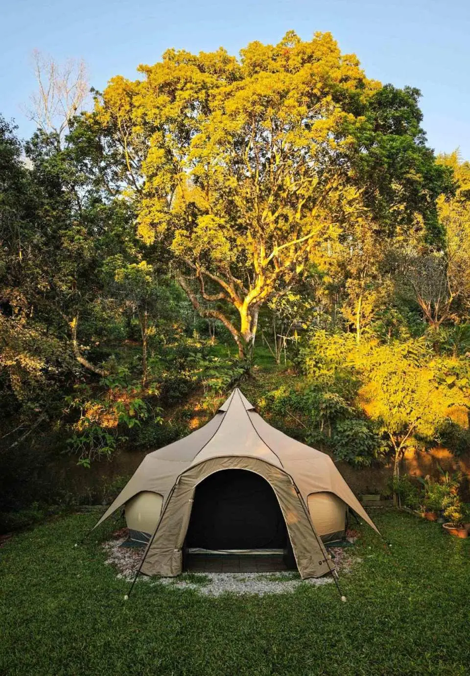 Camping & BNB in mountain and forest - KKday
