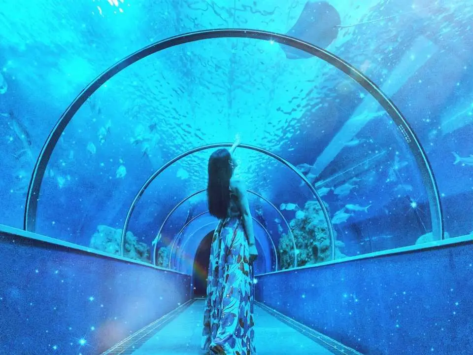 澎湖水族館門票 單人門票 雙人優惠套票 電子票券 Kkday