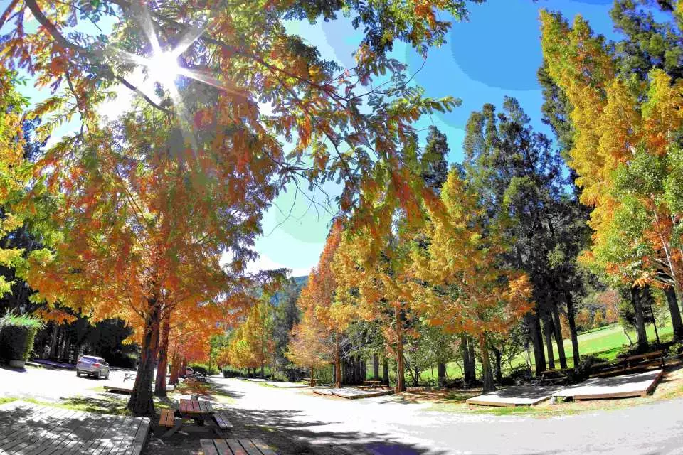 台中賞楓二日遊 武陵農場 梨山 福壽山農場 台北 宜蘭出發 Kkday