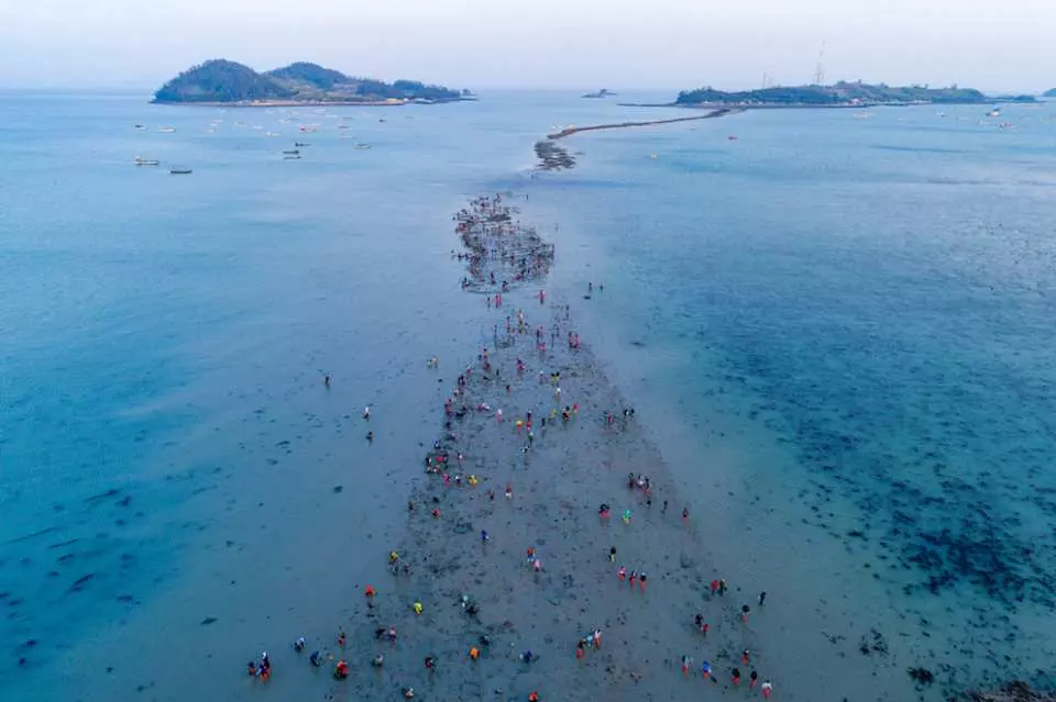 วันเดย์ทัวร์จากโซลหรือปูซาน: เทศกาลชินโดยองดึง (Jindo Miracle Sea Road  Festival) - KKday