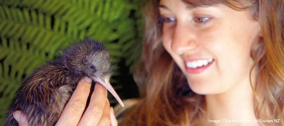 Kiwi Birdlife Park Queenstown Ticket | New Zealand - KKday