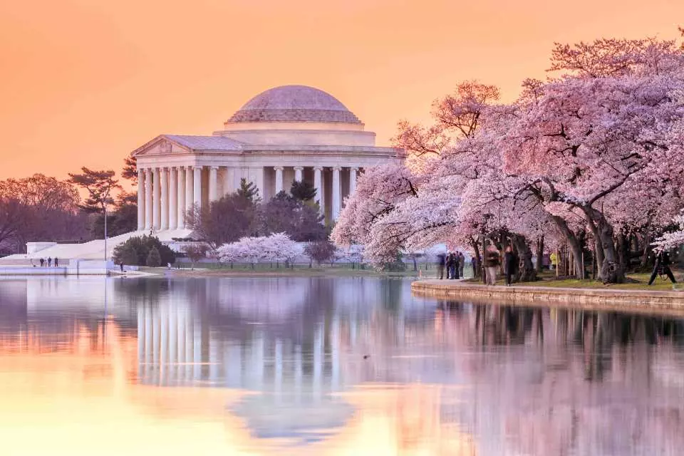 2023 워싱턴 벚꽃축제] 제퍼슨 기념관 & 이스트포토맥 공원 일일투어 | 뉴욕 출발 - Kkday