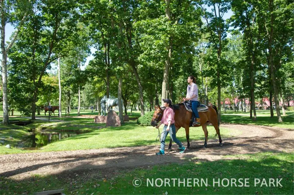 Tomakomai Hokkaido Northern Horse Park Admission Ticket Kkday