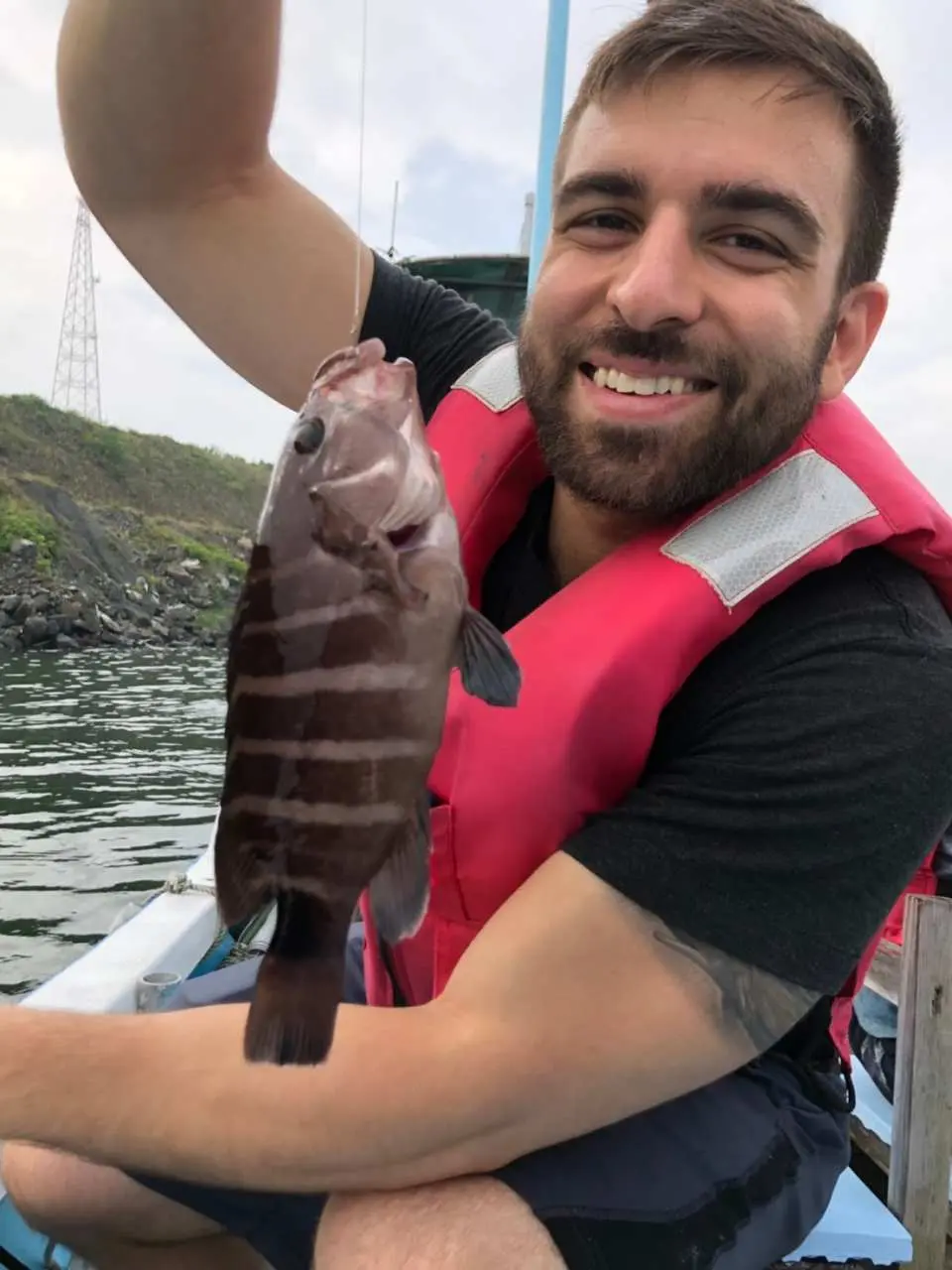 手ぶらでok 三重 鳥羽 漁師さんと行く船釣り体験ツアー 英語ガイド付き Kkday