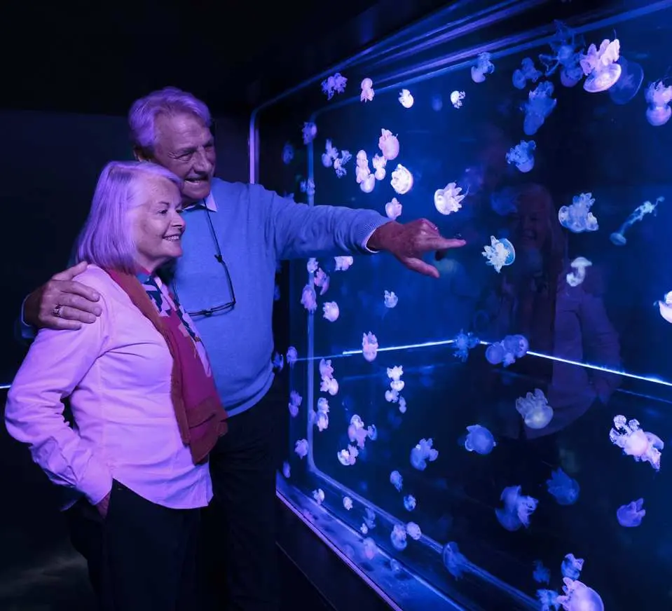 シーライフ ロンドン アクアリウム 入場チケット ロンドン 水族館 Kkday