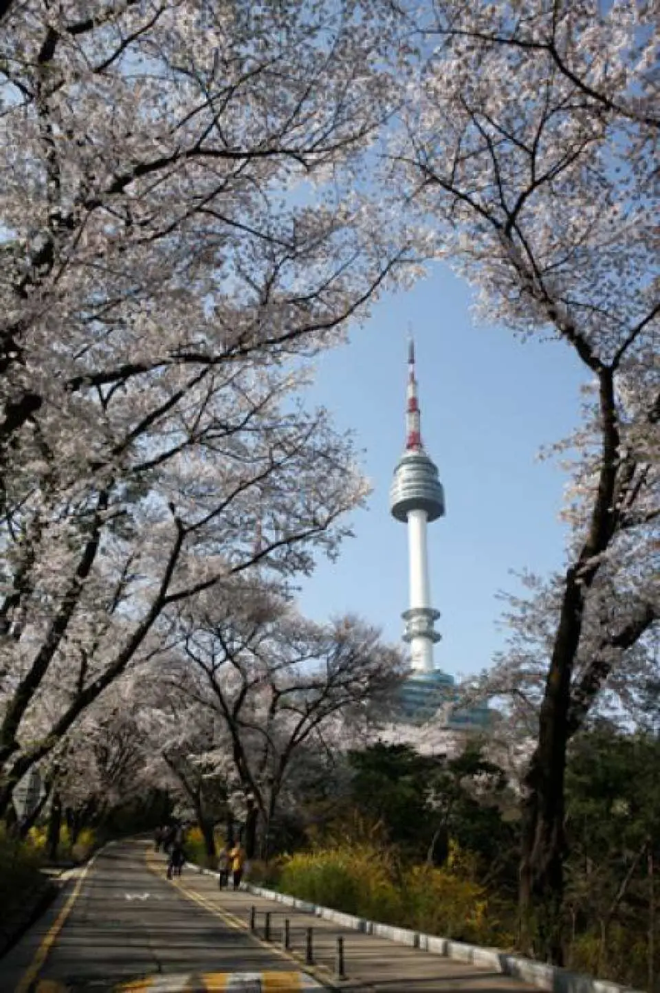 韓国ソウル Nソウルタワー 南山タワー 展望台 割引入場チケット Kkday