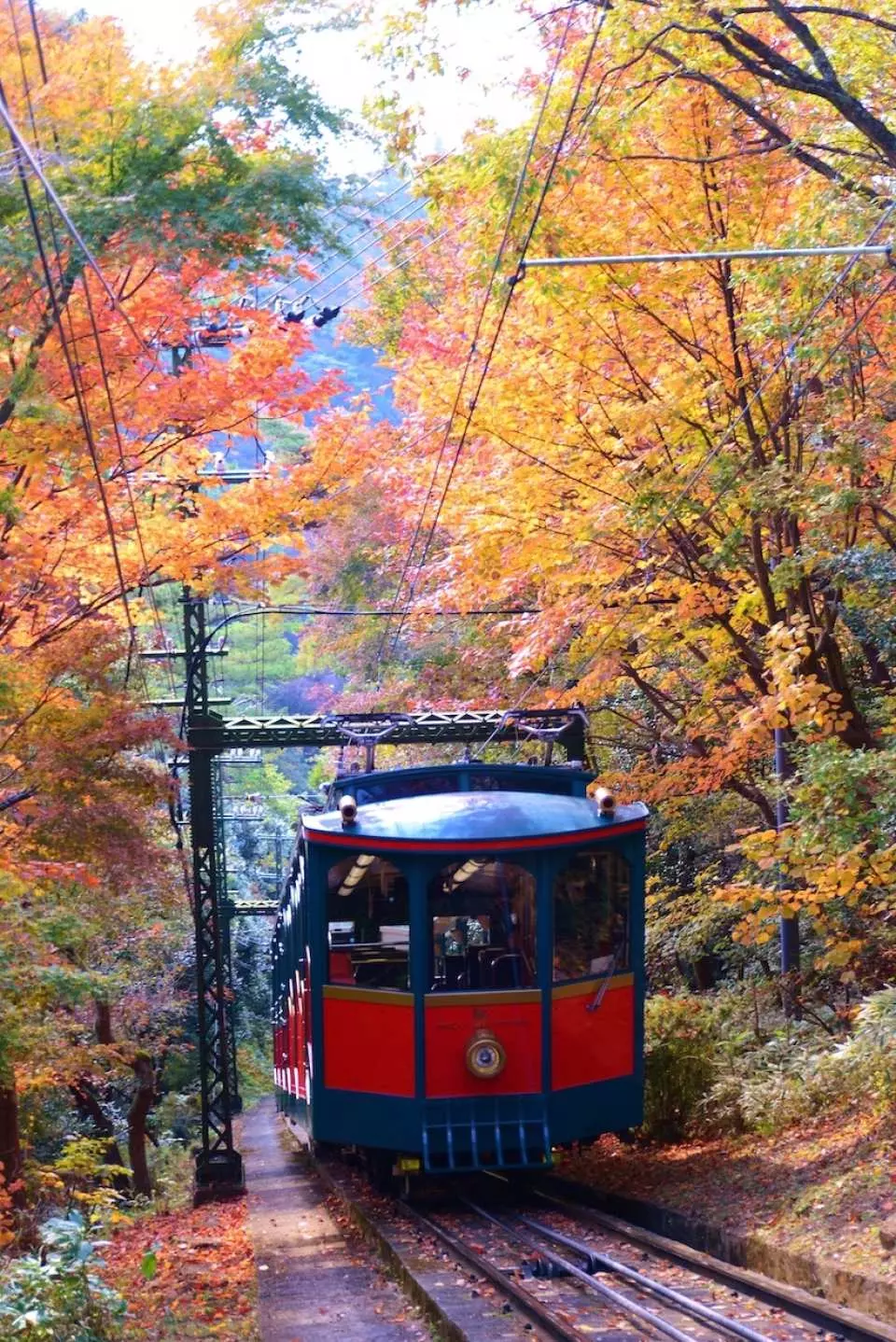 神户自由行必备 神户六甲山观光套票tourist Pass Kkday