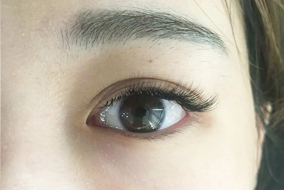 韓国 まつ毛エクステサロン 江南 Stunning Beauty Kkday