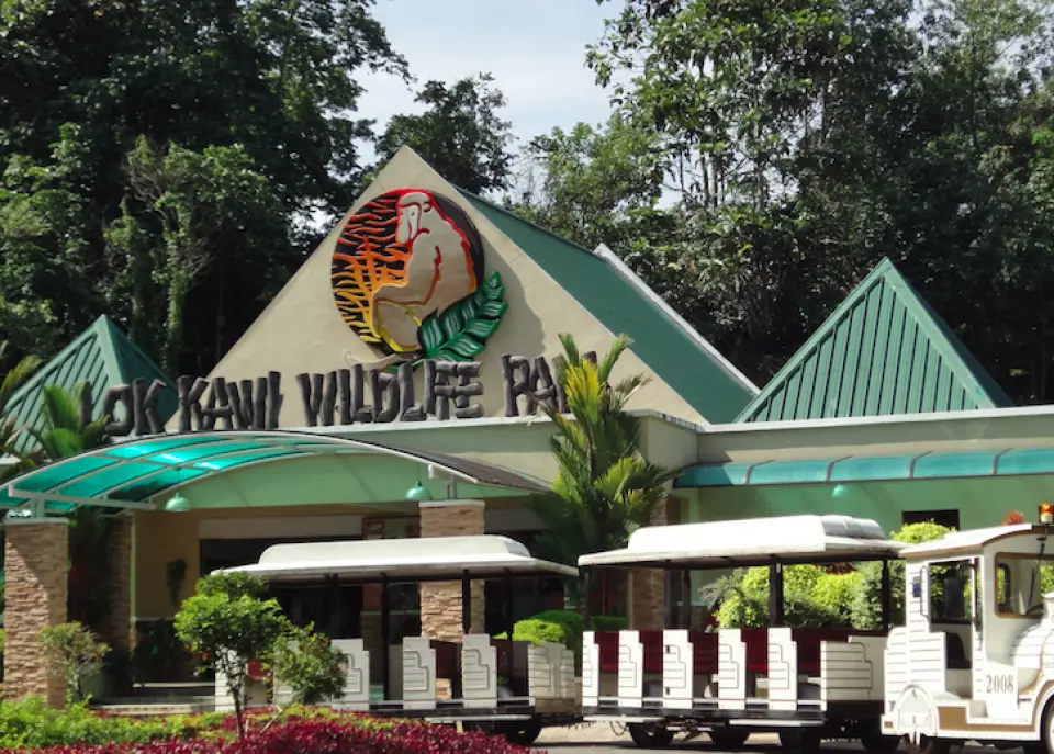 マレーシア動物園 オランウータンに会えるロッカウイ ワイルドライフパーク 散策 アニマルショー By H I S 日本語ガイド付き Kkday