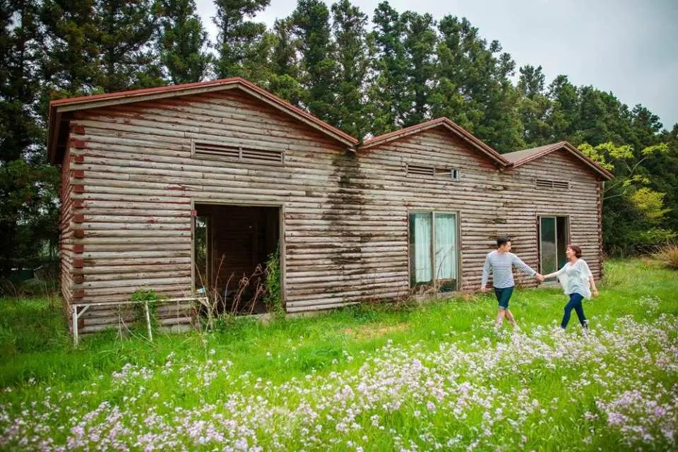 済州 チェジュ 島 プロのカメラマンによるカップル写真撮影プラン Kkday