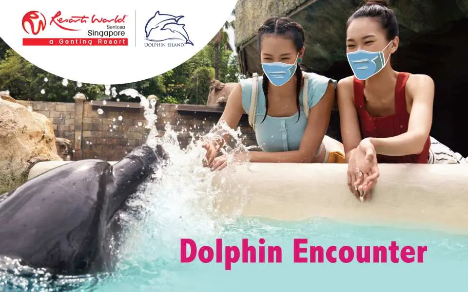 Singapore Resorts World Sentosa Dolphin Island Adventure Cove Water Park Kkday