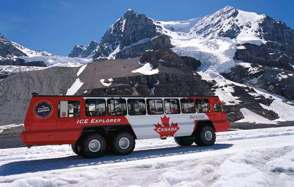 Day Tour Tham Quan Columbia Icefield Và Công Viên Quốc Gia Jasper (Từ  Calgary) - KKday
