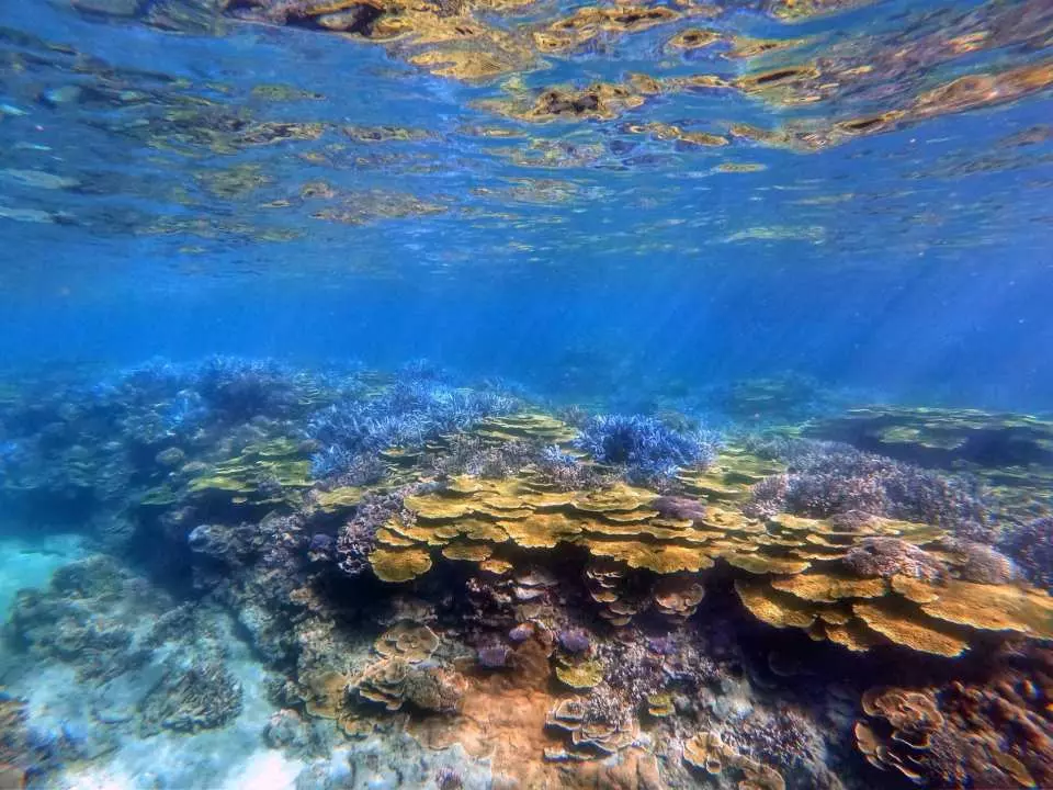 澎湖隐藏版岛屿 澎湖天堂忘忧岛蓝色珊瑚礁顶级浮潜秘旅 Kkday