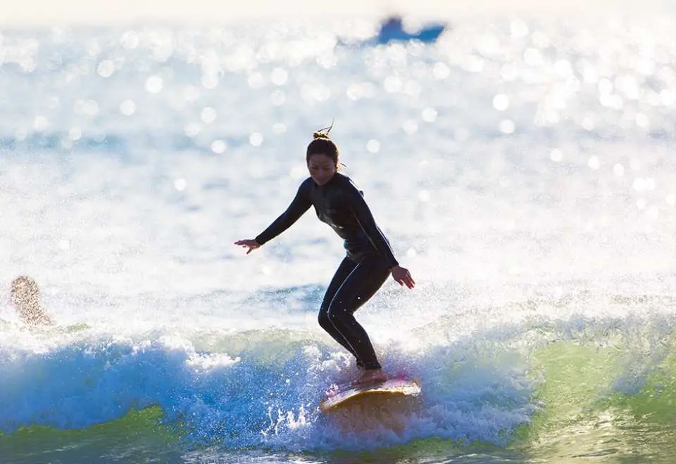 神奈川 江ノ島 人気サーフィン体験 初心者歓迎 Kkday