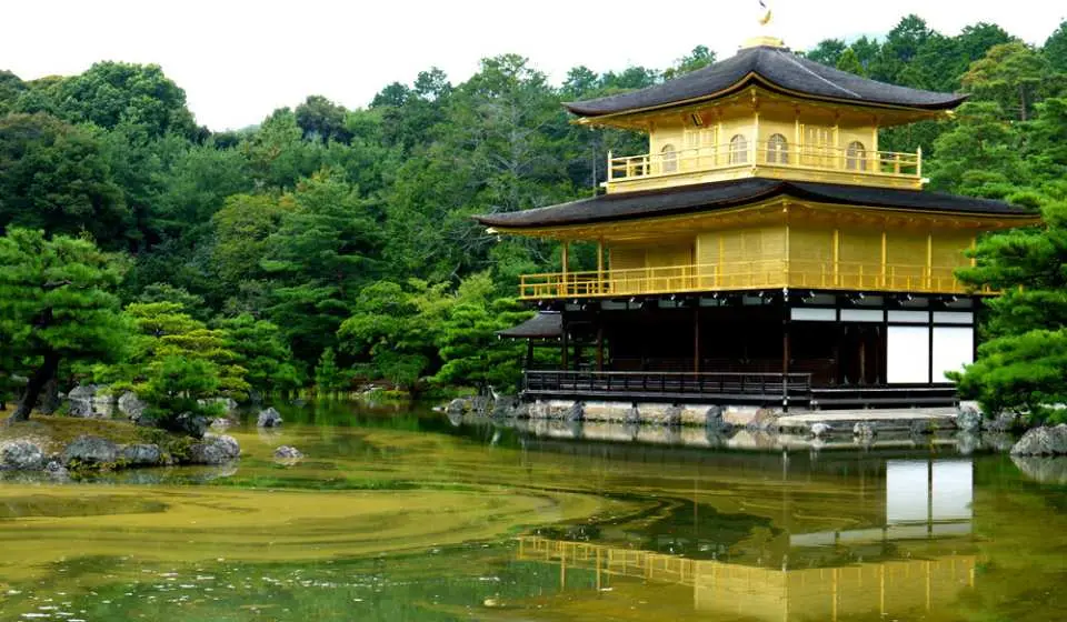 日本大阪包車 大阪 京都一日客製化包車 Kkday