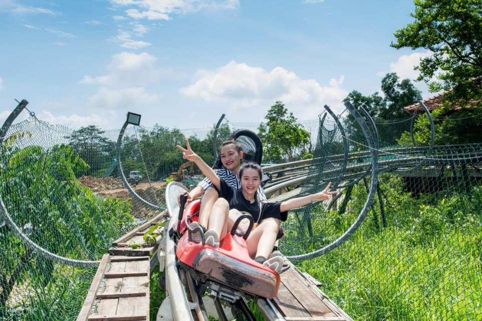 Experience a thrilling alpine coaster ride