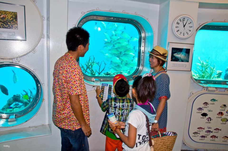 View stunning fish and coral reefs through the Underwater Observatory's windows