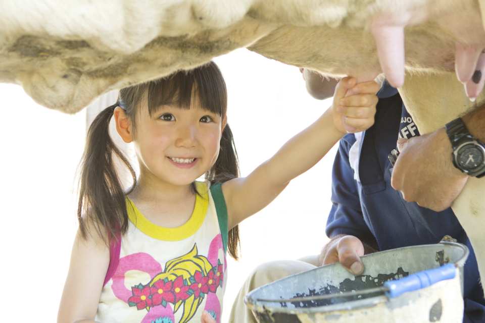 成田ゆめ牧場｜入場チケット