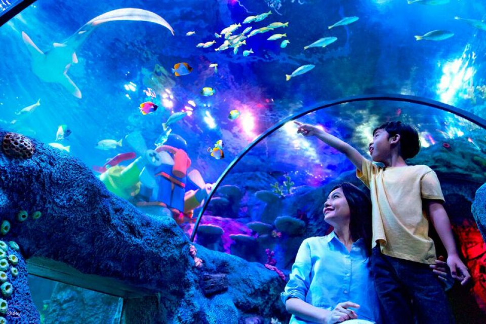 Explore SEA LIFE Aquarium and get an up-close ocean experience with its magical storytelling, interactive displays, and hands-on encounters