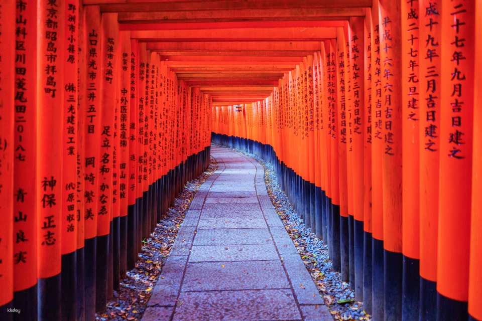   Thousand Torii Gates: There are actually tens of thousands of them, stretching endlessly, spectacular and mysterious!