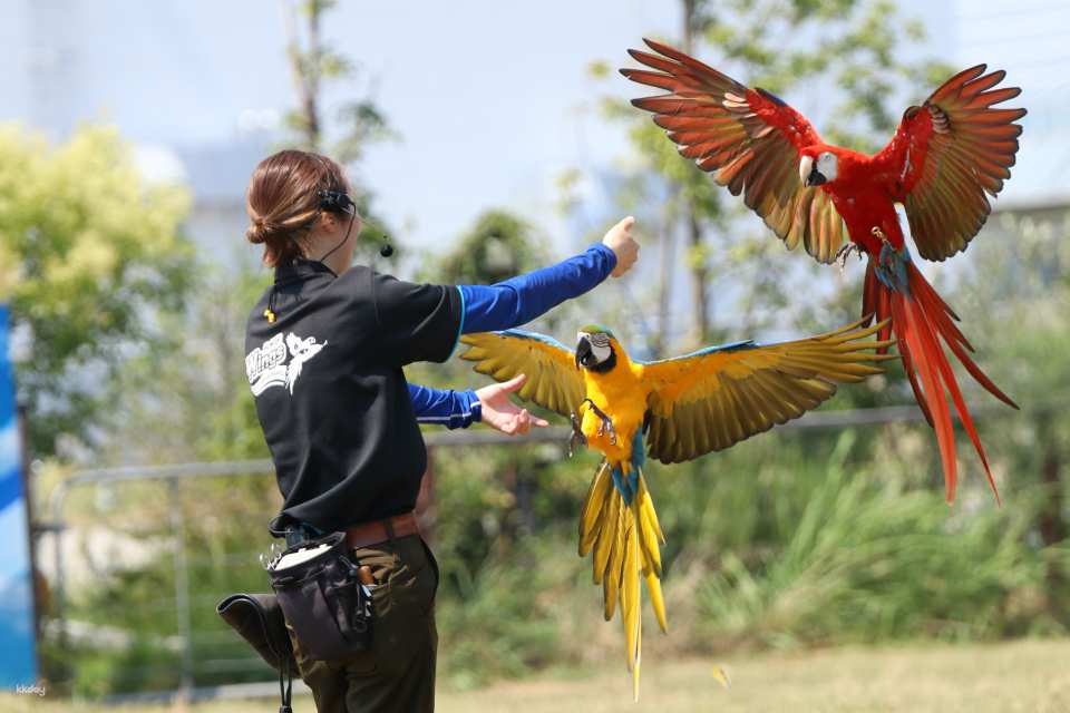 神戸どうぶつ王国 入場チケット（兵庫県 神戸市・動物園）
