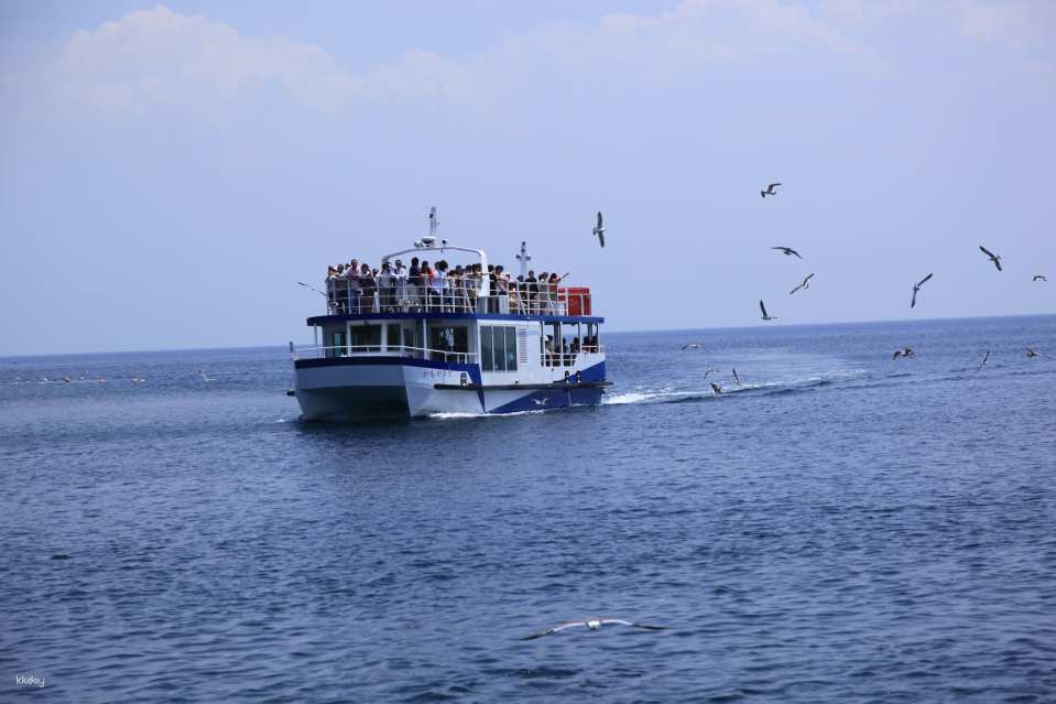   Take a cruise on Ine Bay and enjoy feeding seagulls and eagles! (about 25 minutes)