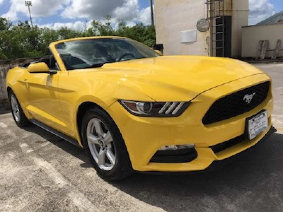 Ride in style with the Ford Mustang