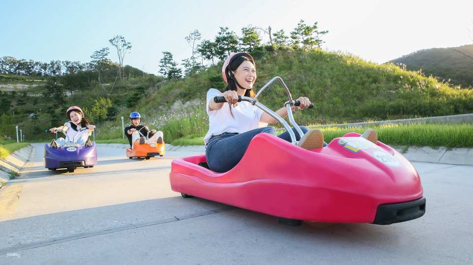 Take the cable car up the mountain to enjoy the scenery of Ganghwa. Experience the exciting thrill of luge that gives you fill control of the ride