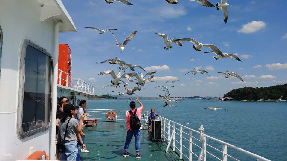Feeding seagulls on the ferry from Wolmi Island to Yeongjong Island is novel and interesting