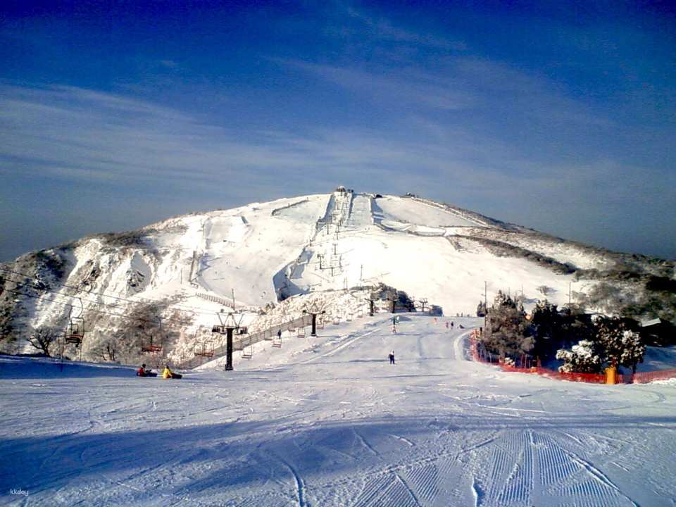   Enjoy the winter wonderland of Japan