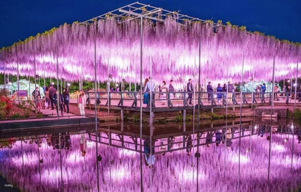   [2025 Flower of Light Garden Night Light Show] Night Light-up Period: October 18, 2025 (Saturday) - February 15, 2026 (Monday)