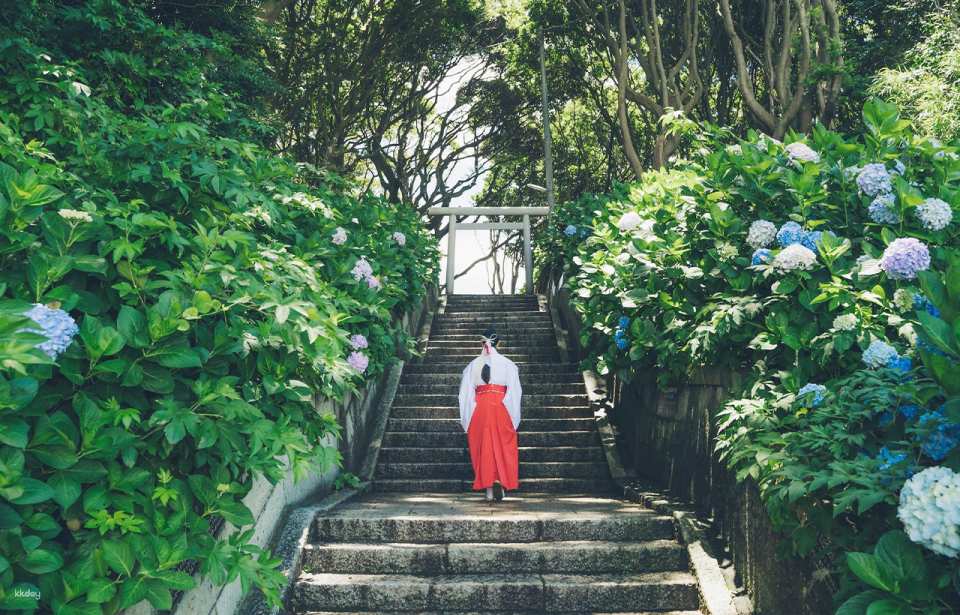   Mysterious green approach