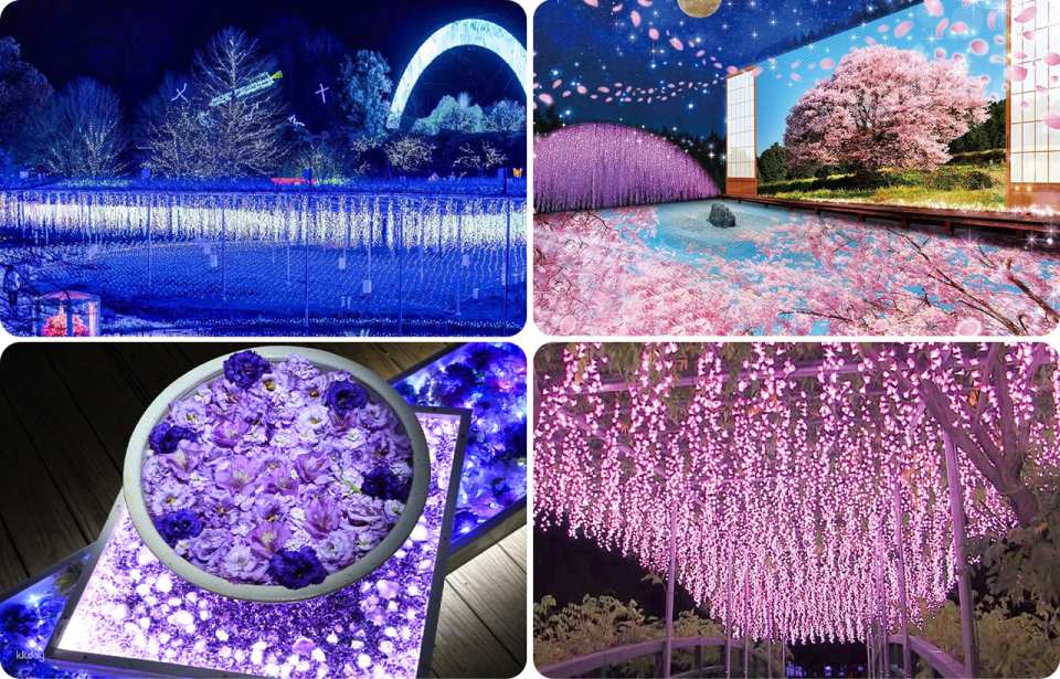   You can enjoy different themes such as the Hikari Hanatemizu and the four seasons of Japan (Kokoro no Furusato).