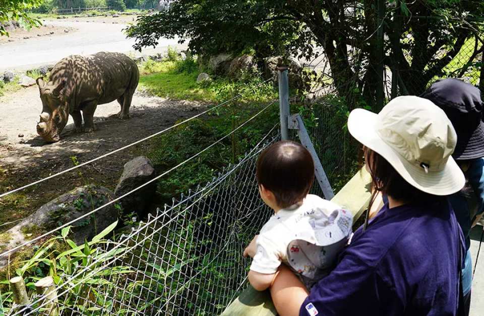   Option A: You can choose to participate in WALKING SAFARI at your own expense